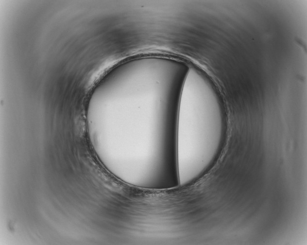 X0000102001363200807180839