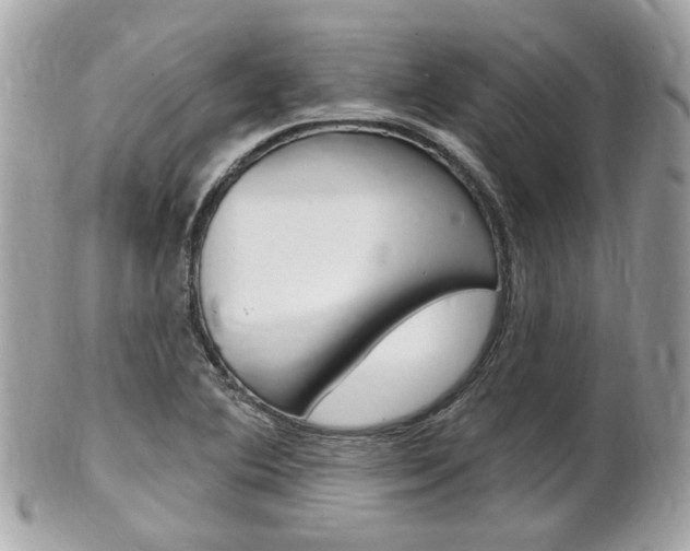 X0000102001364200807180839