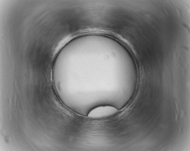 X0000102001365200807180839