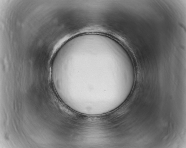X0000102001366200807180839