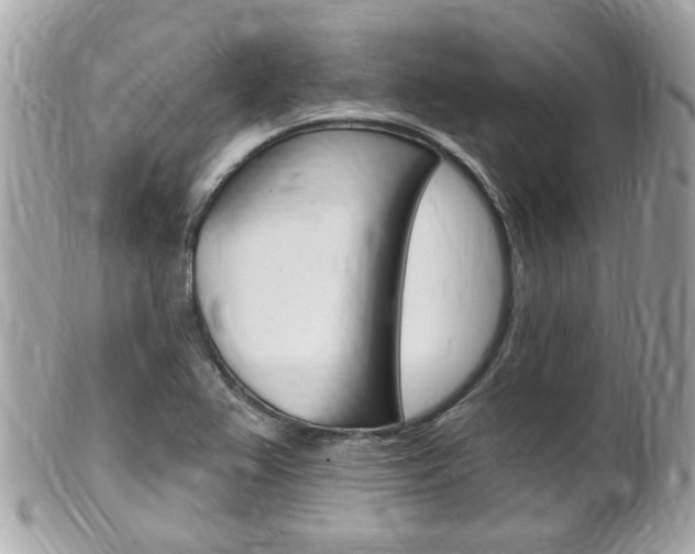 X0000102001367200807180839