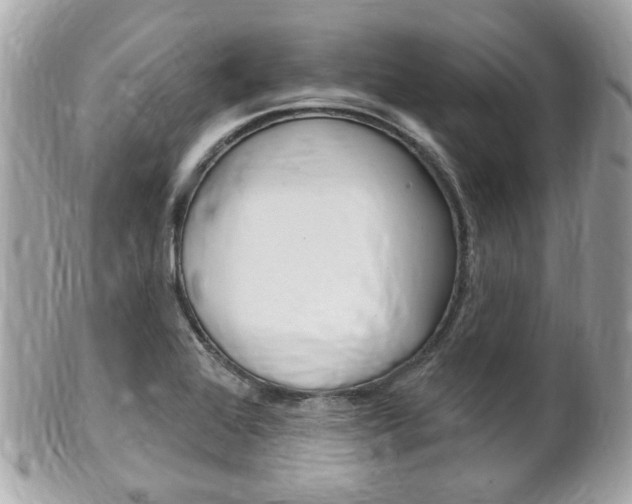 X0000102001368200807180839