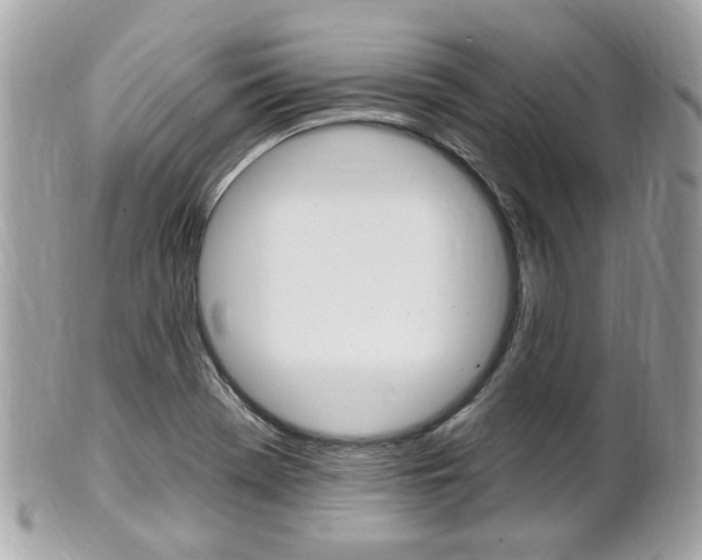 X0000102001369200807180839