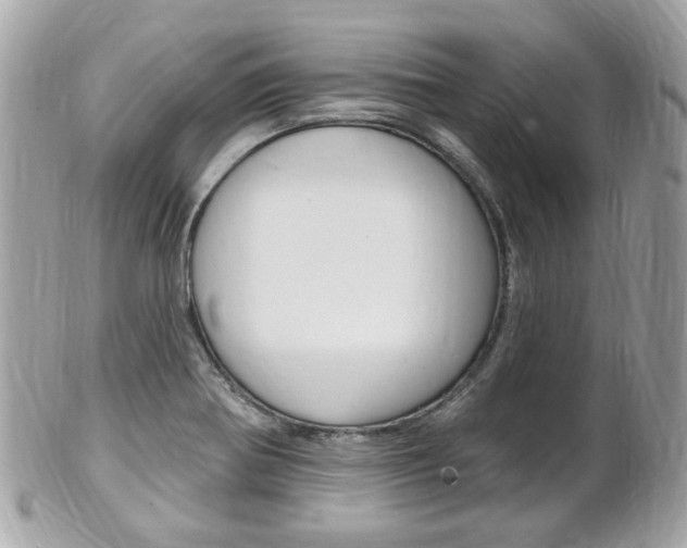 X0000102001370200807180839