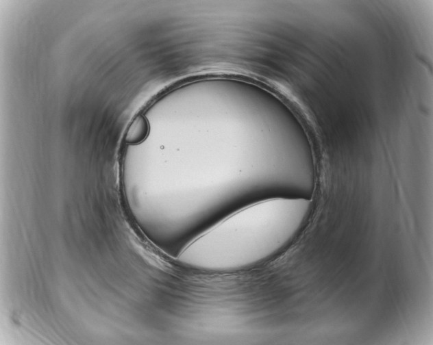 X0000102001372200807180839