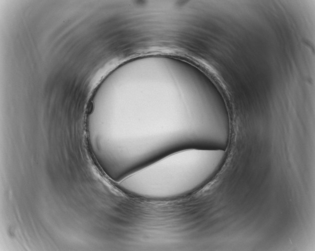 X0000102001373200807180839