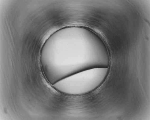 X0000102001374200807180839