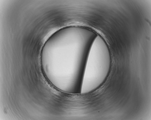 X0000102001375200807180839