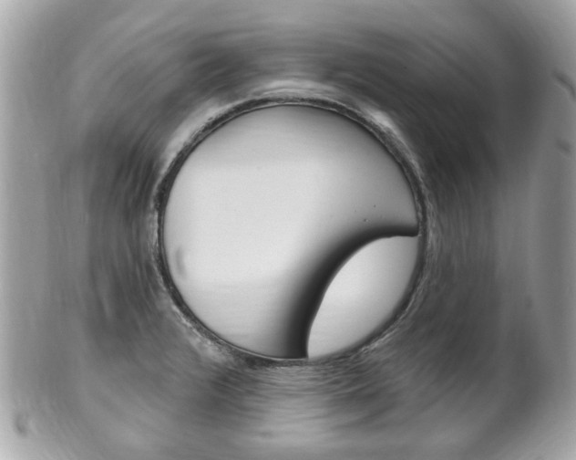 X0000102001376200807180839