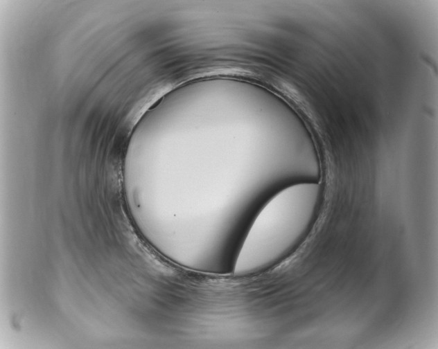 X0000102001377200807180839