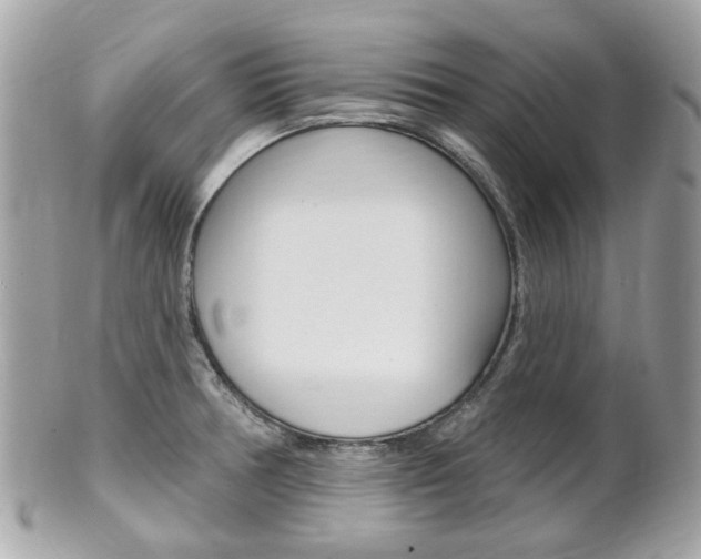 X0000102001378200807180839
