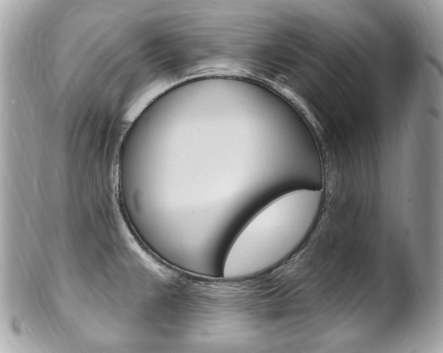 X0000102001383200807180838