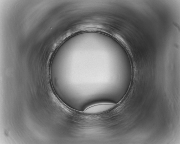 X0000102001384200807180838