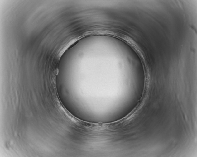 X0000102001385200807180838