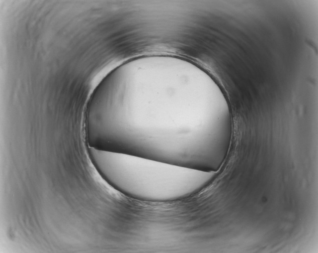 X0000102001387200807180838