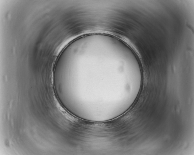 X0000102001388200807180838
