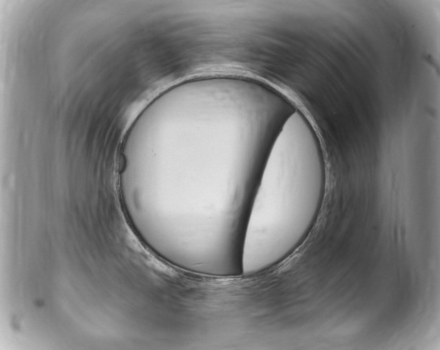 X0000102001390200807180838