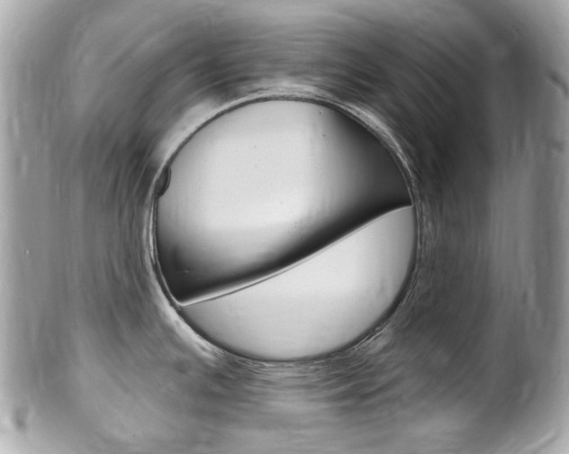 X0000102001391200807180838