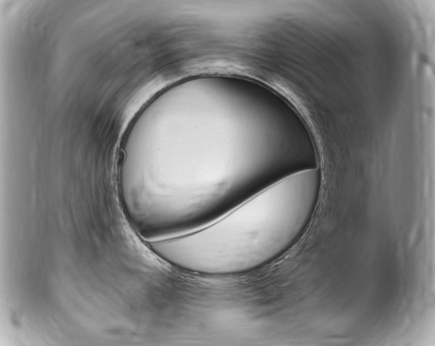 X0000102001392200807180838