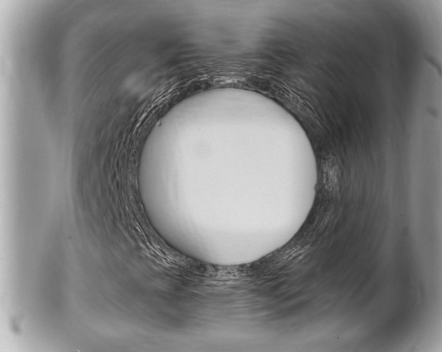 X0000102001393200807180838