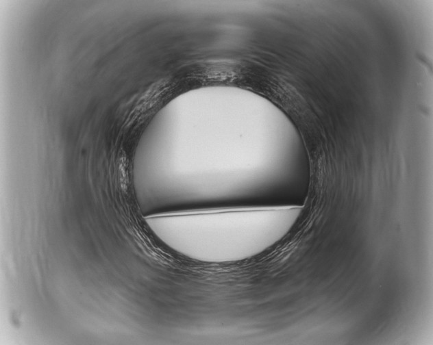 X0000102001394200807180838