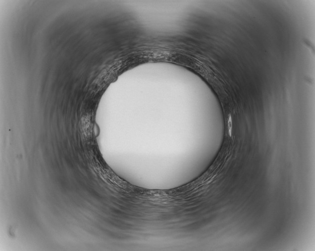 X0000102001395200807180838