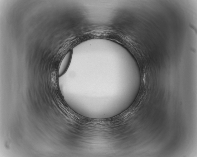 X0000102001396200807180838