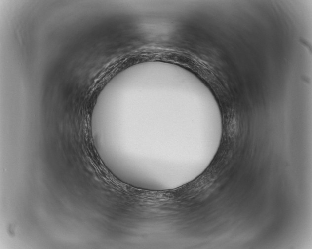 X0000102001397200807180838