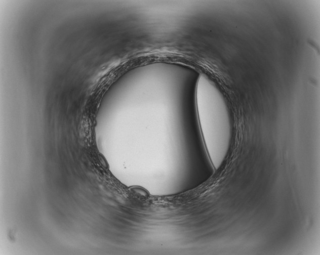 X0000102001398200807180838