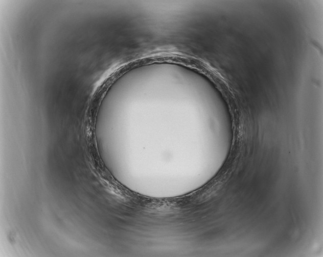 X0000102001400200807180838