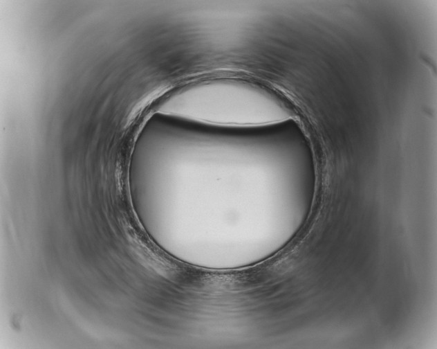 X0000102001402200807180838