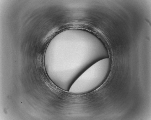 X0000102001403200807180838