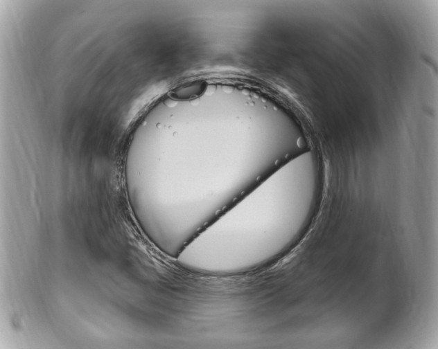 X0000102001405200807180838