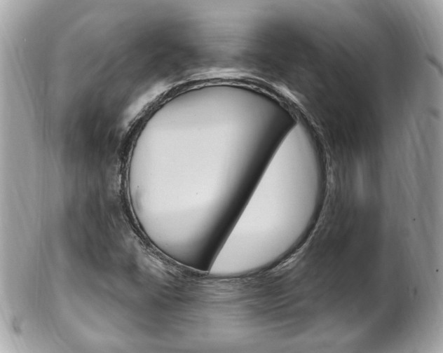 X0000102001406200807180838
