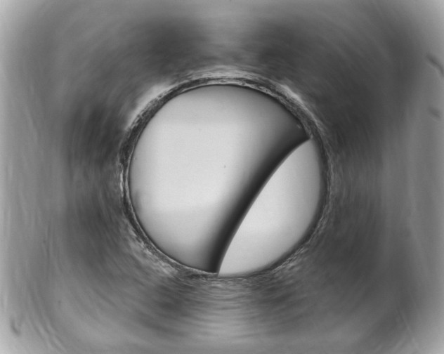 X0000102001408200807180838