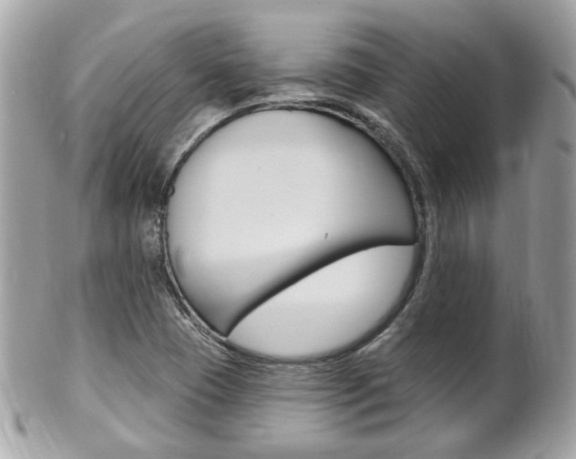 X0000102001409200807180838
