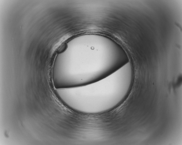 X0000102001410200807180838