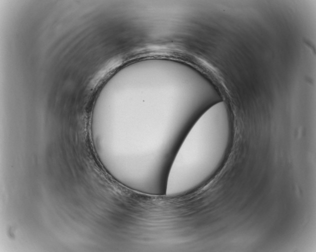 X0000102001411200807180838