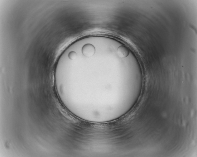 X0000102001413200807180838