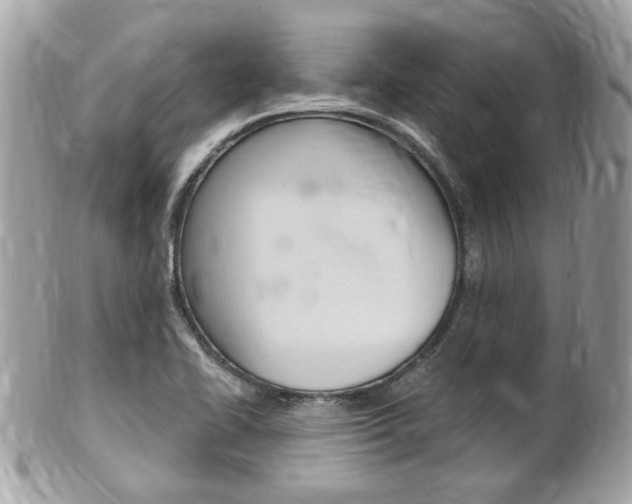 X0000102001414200807180838