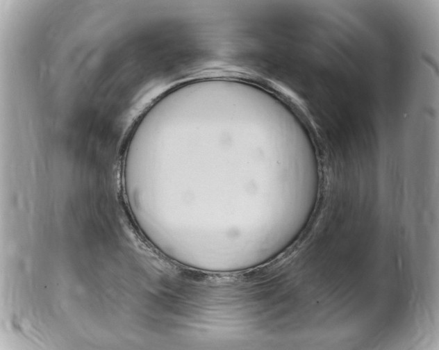X0000102001415200807180838