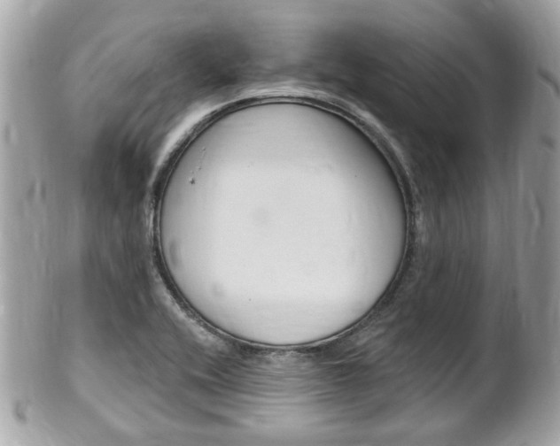 X0000102001416200807180838
