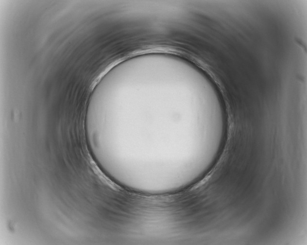 X0000102001417200807180838