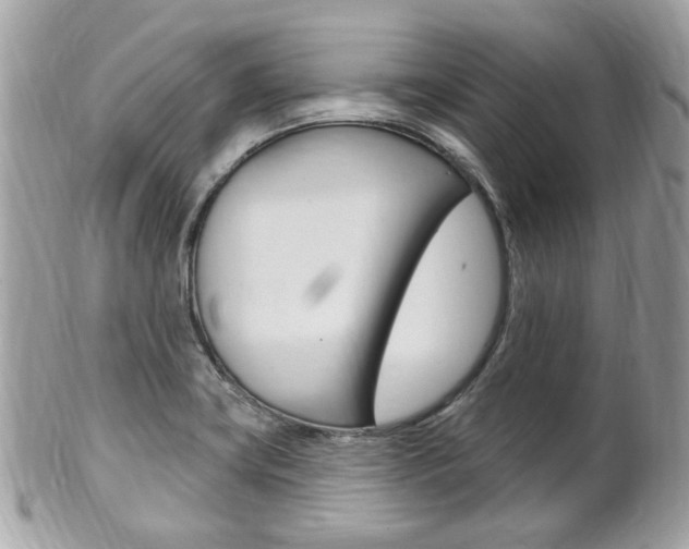 X0000102001419200807180838