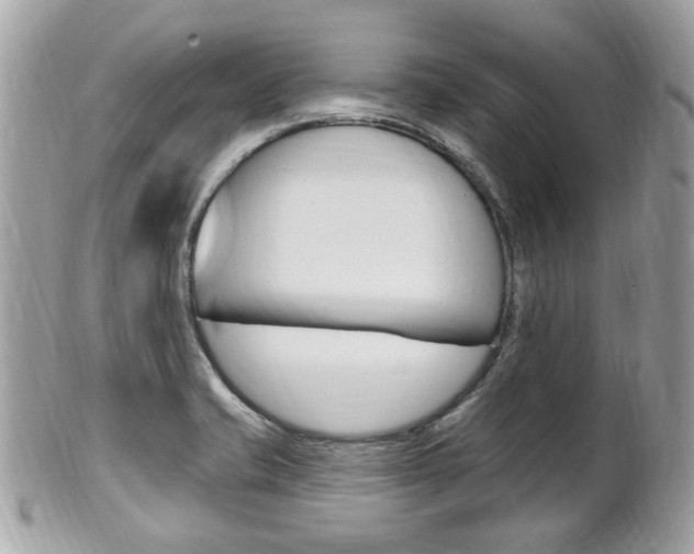 X0000102001421200807180838