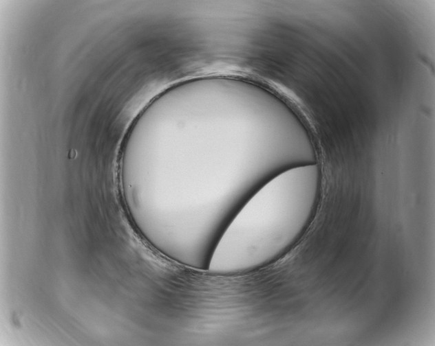 X0000102001423200807180838