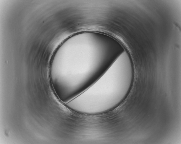 X0000102001424200807180838