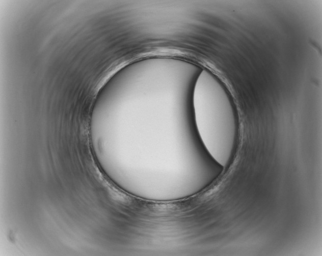 X0000102001425200807180838