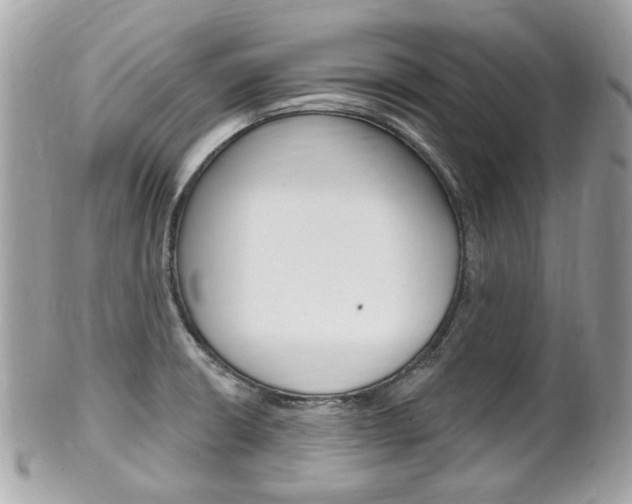 X0000102001426200807180838
