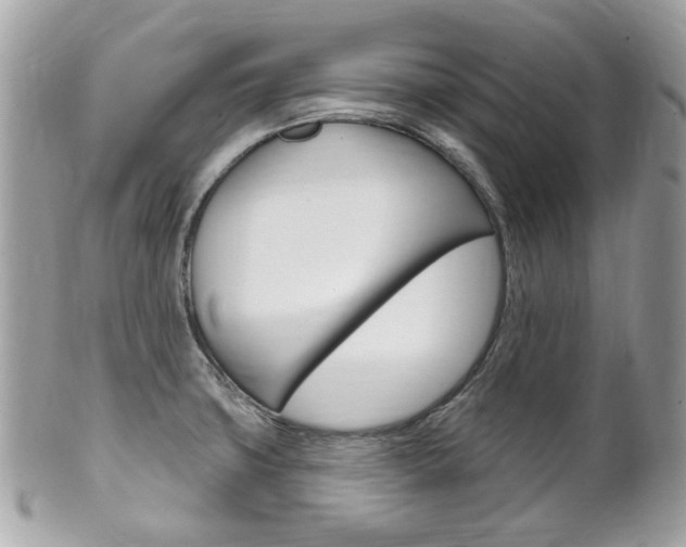 X0000102001427200807180838